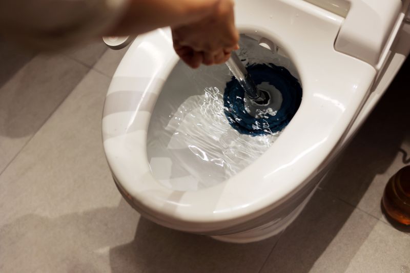 Backed Up Toilet Repair