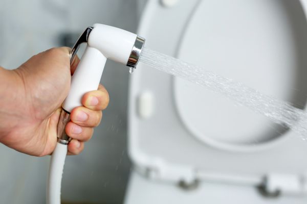 Bidet Installation in O Fallon