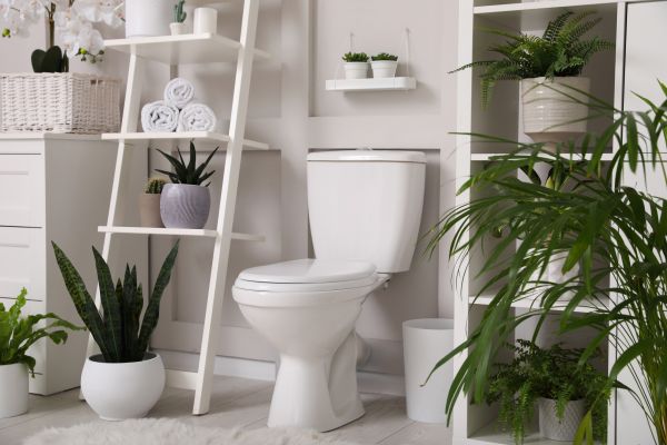 Cost of Toilet Repair in O Fallon