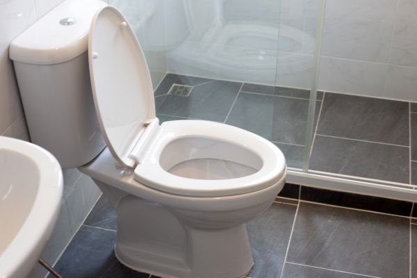 Toilet Replacement in O Fallon