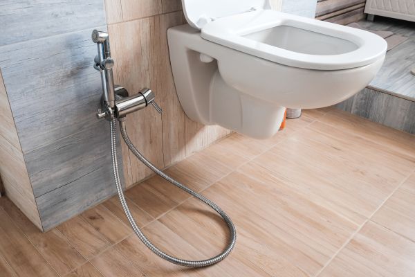 Bidet Service in O Fallon