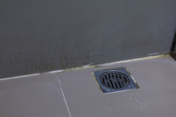 Bathroom Drain Installation in O Fallon