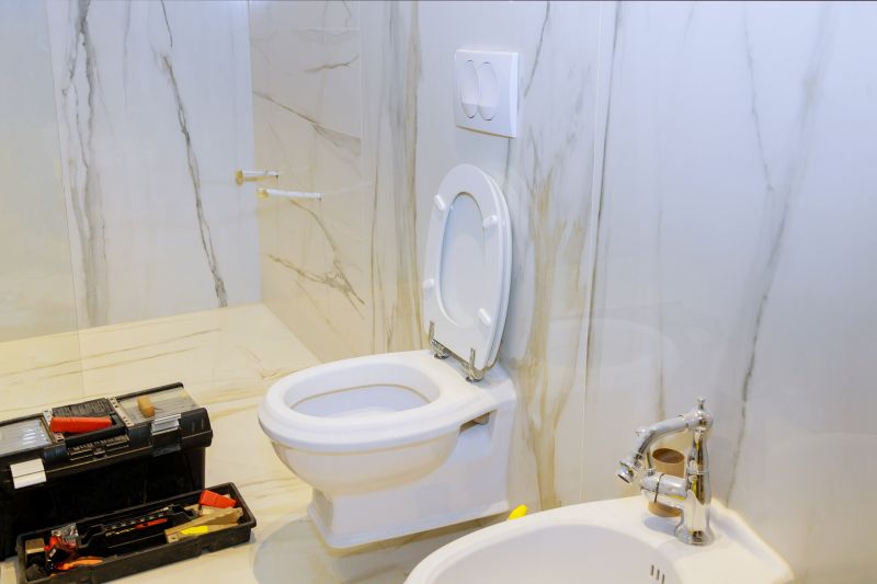 New Toilet Installation