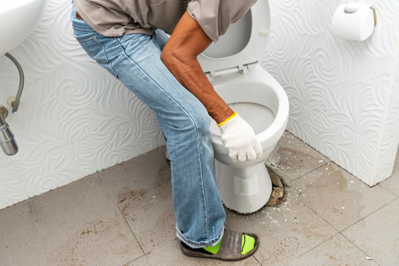 New Toilet Installation